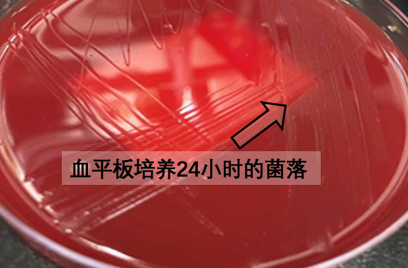 微信图片_20220509143235.jpg