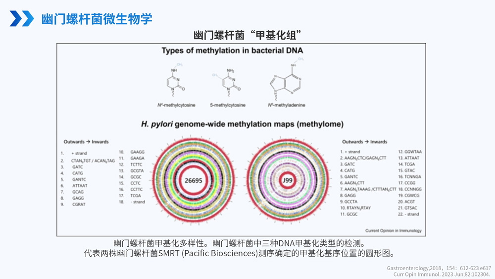 幽门螺旋杆菌感染_11.jpg