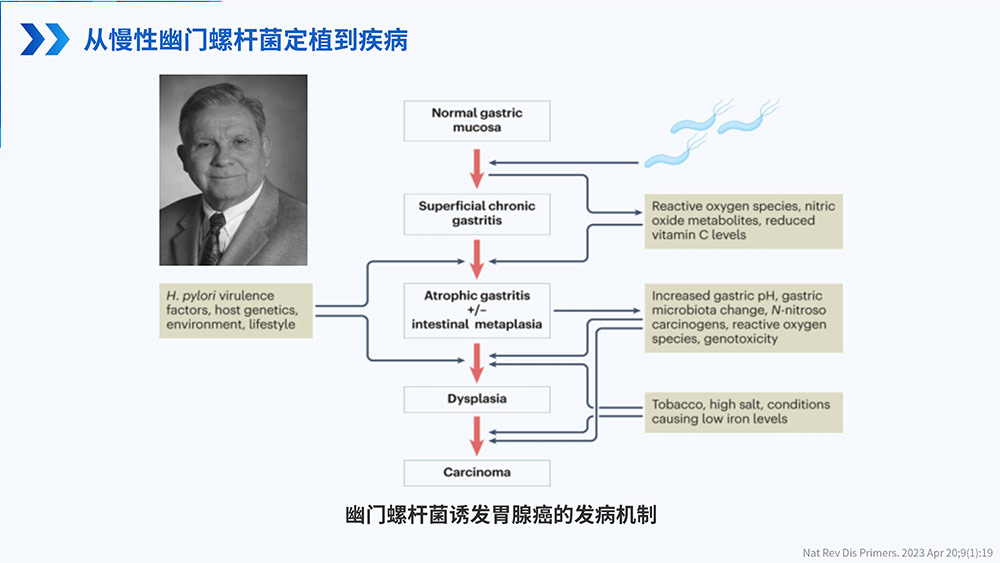 幽门螺旋杆菌感染_43.jpg
