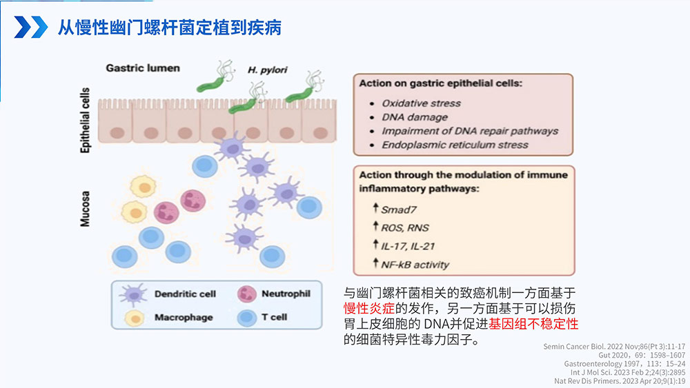 幽门螺旋杆菌感染_47.jpg