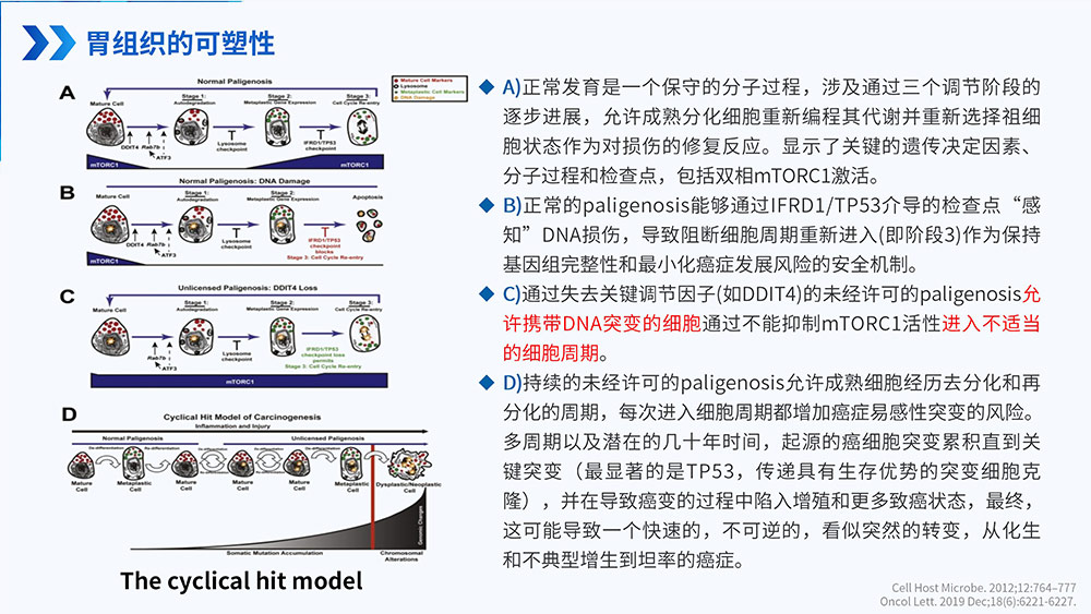 幽门螺旋杆菌感染_50.jpg
