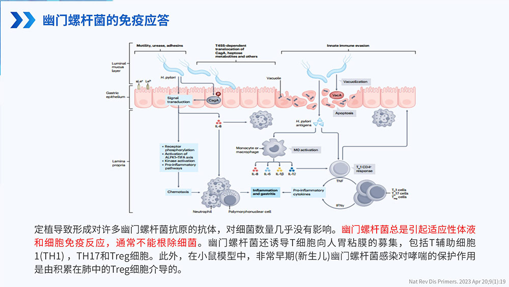 幽门螺旋杆菌感染_52.jpg