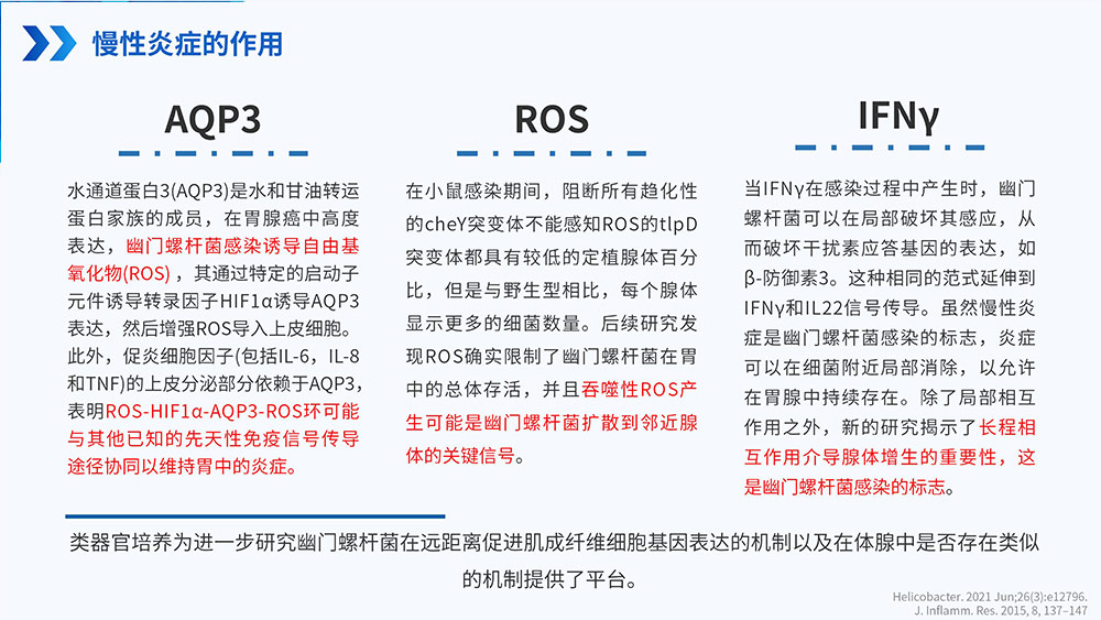 幽门螺旋杆菌感染_60.jpg