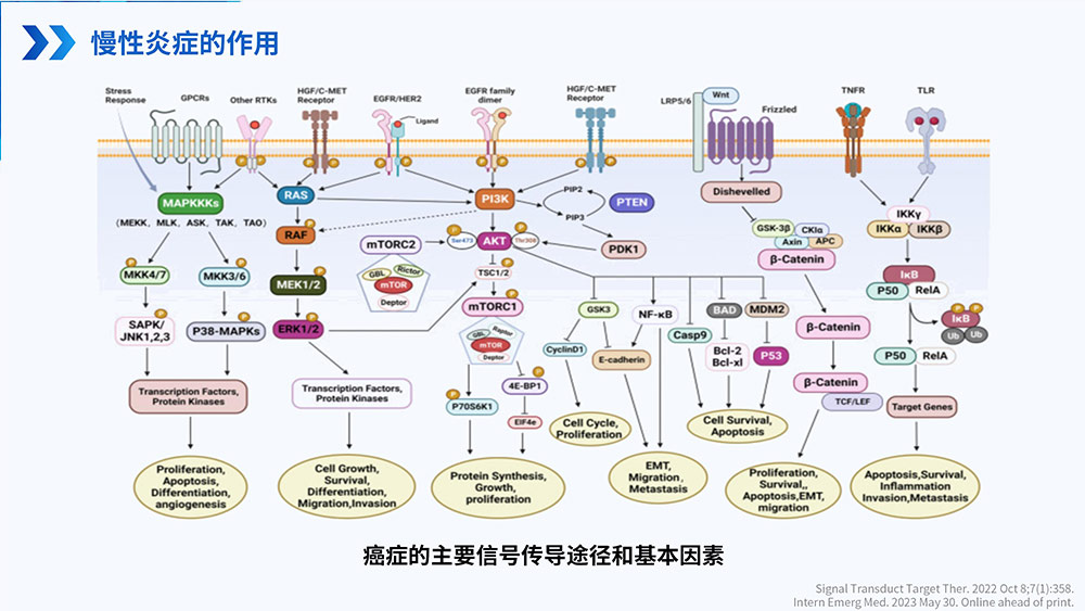 幽门螺旋杆菌感染_61.jpg