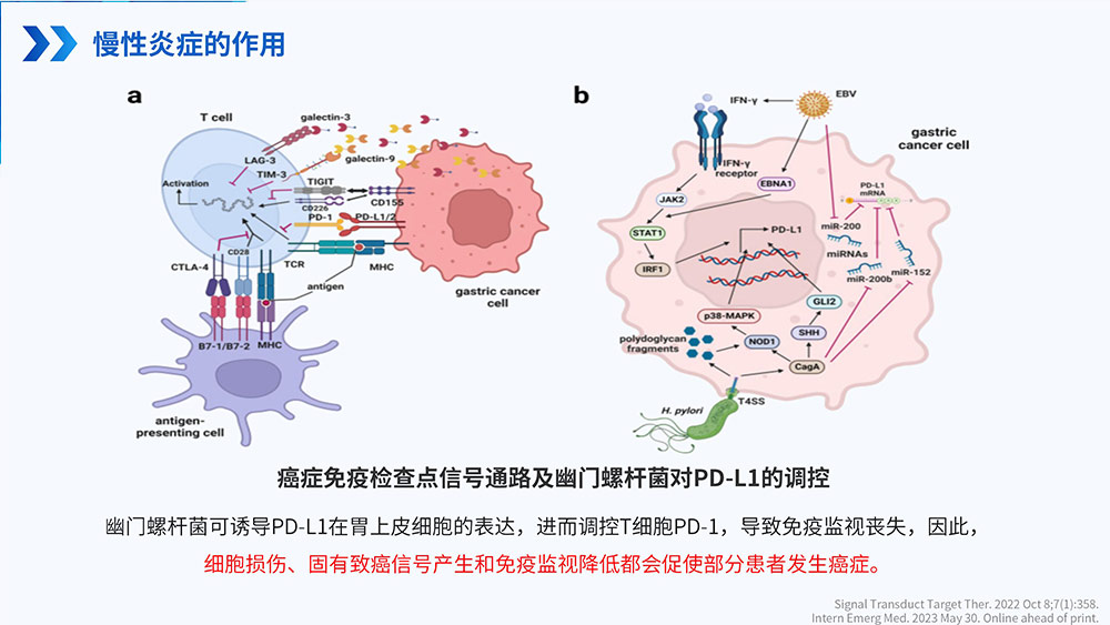 幽门螺旋杆菌感染_63.jpg