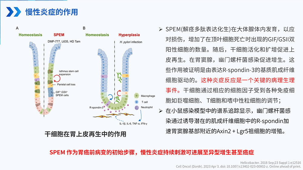 幽门螺旋杆菌感染_64.jpg