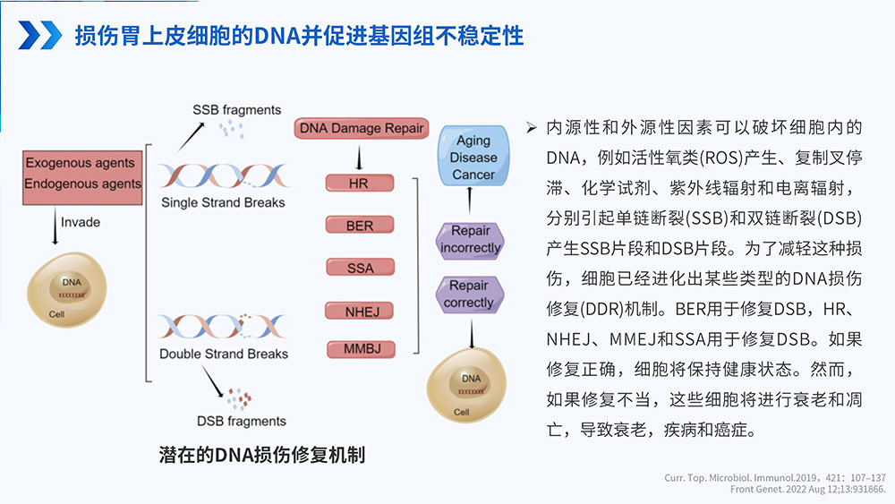 幽门螺旋杆菌感染_66.jpg