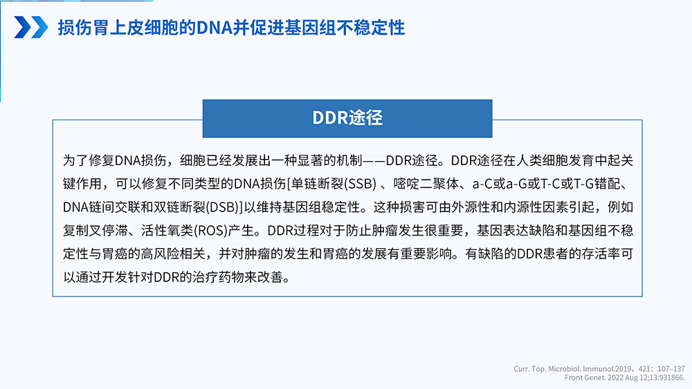 幽门螺旋杆菌感染_67.jpg