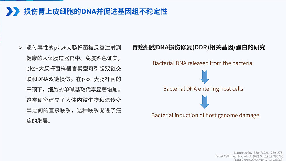 幽门螺旋杆菌感染_68.jpg