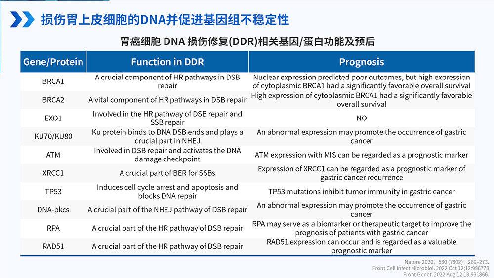 幽门螺旋杆菌感染_69.jpg