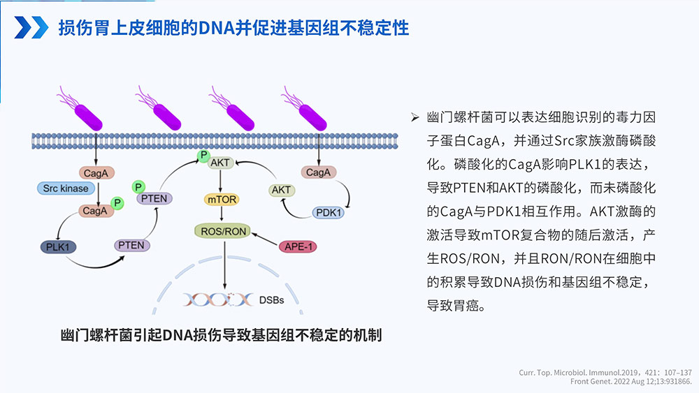 幽门螺旋杆菌感染_71.jpg