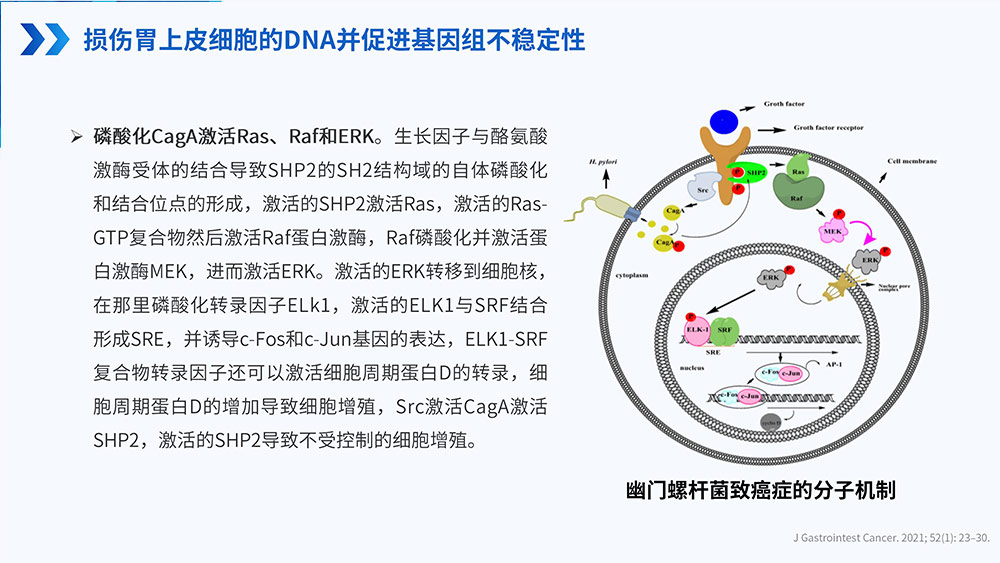 幽门螺旋杆菌感染_72.jpg