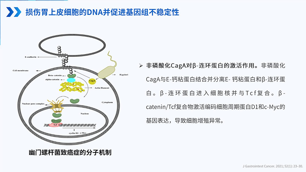 幽门螺旋杆菌感染_73.jpg