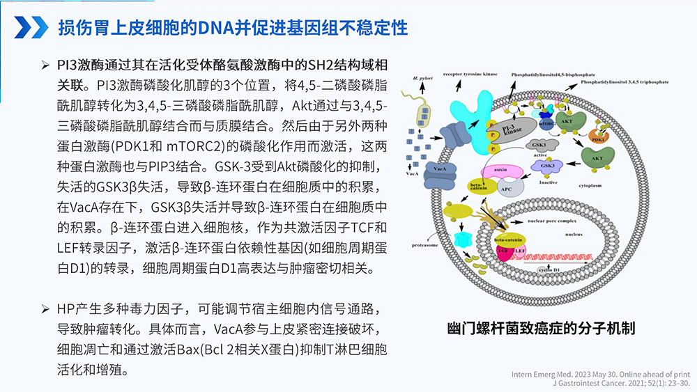 幽门螺旋杆菌感染_74.jpg