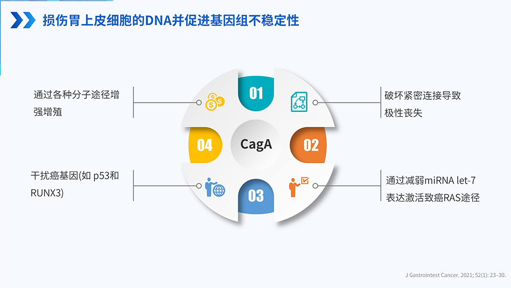 幽门螺旋杆菌感染_75.jpg