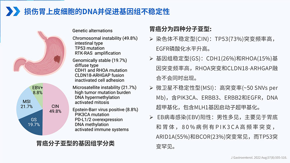 幽门螺旋杆菌感染_76.jpg