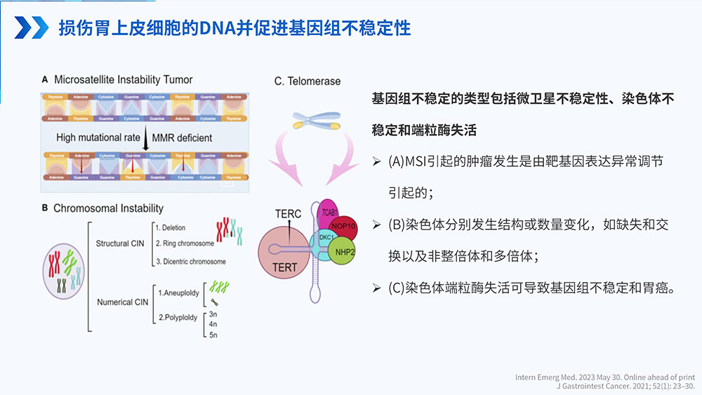 幽门螺旋杆菌感染_78.jpg