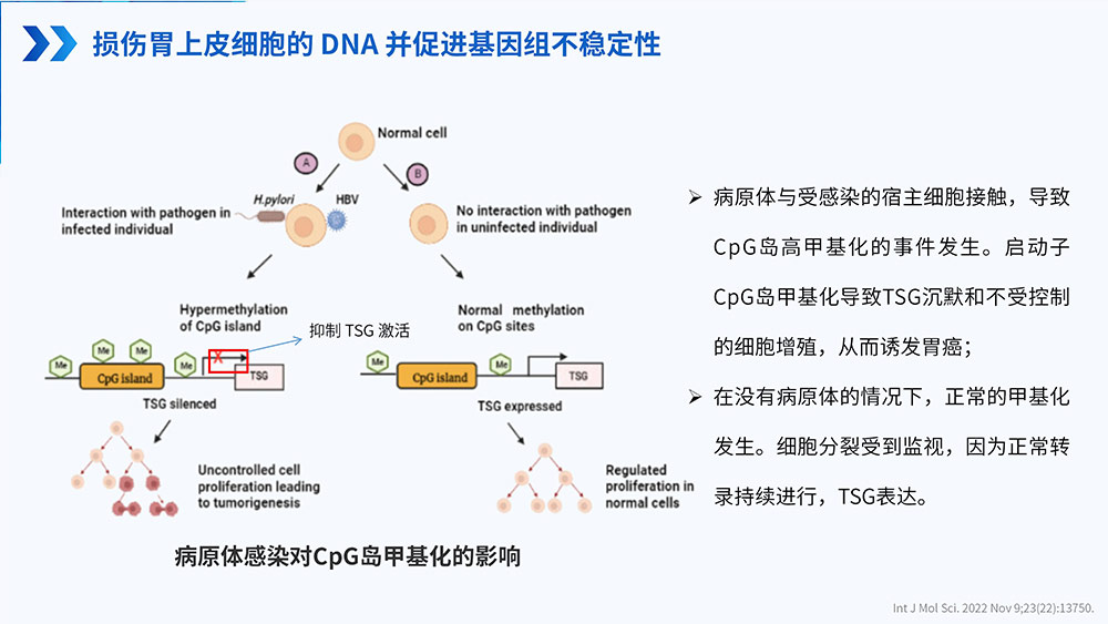 幽门螺旋杆菌感染_81.jpg