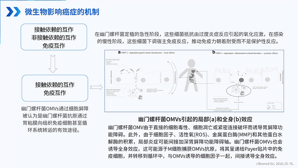 幽门螺旋杆菌感染_84.jpg