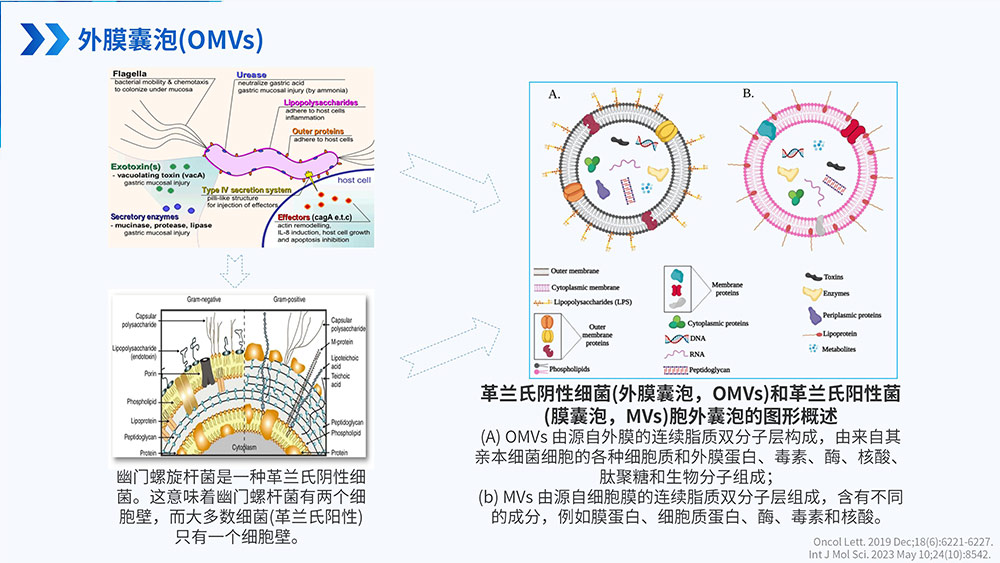 幽门螺旋杆菌感染_85.jpg