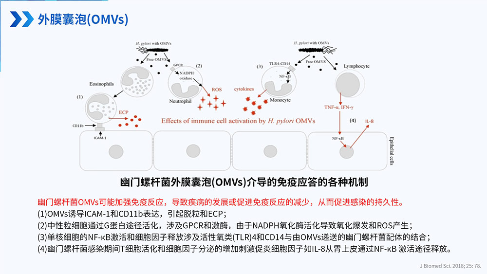幽门螺旋杆菌感染_88.jpg