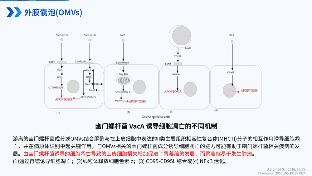 幽门螺旋杆菌感染_89.jpg