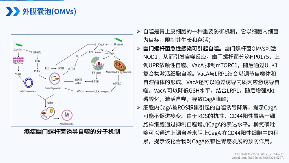 幽门螺旋杆菌感染_90.jpg