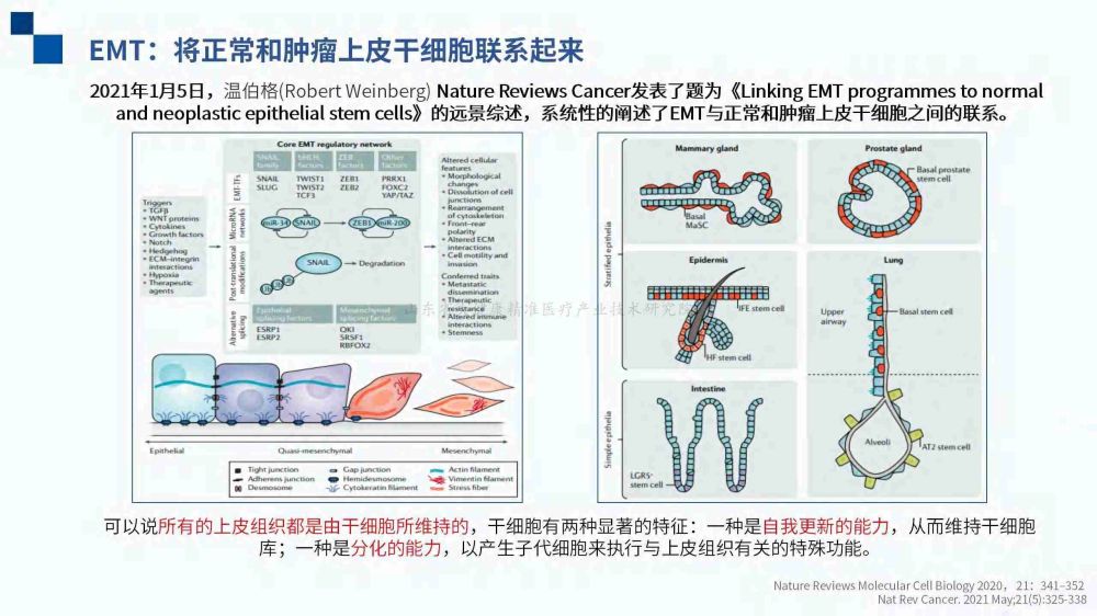 (已瘦身)衰老的预测（上）_10.jpg